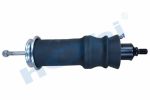 Amortisör, Kabin Havalı, 895216 Scania