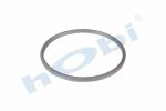 Conta, DPF, 2137231 Scania ID:Ø285 OD:Ø305 T:14,500 mm Grafit, Yuvarlak,